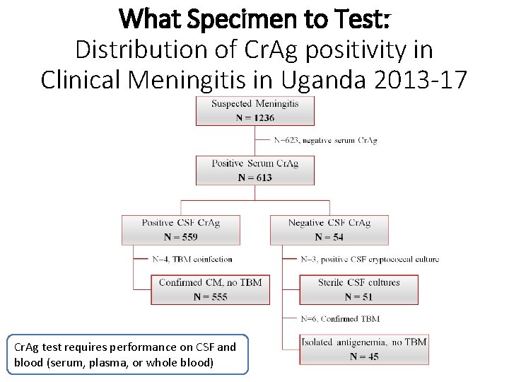 What Specimen to Test: Distribution of Cr. Ag positivity in Clinical Meningitis in Uganda