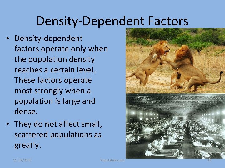 Density-Dependent Factors • Density-dependent factors operate only when the population density reaches a certain Density-Dependent Factors • Density-dependent factors operate only when the population density reaches a certain