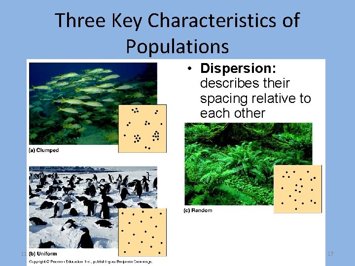 Three Key Characteristics of Populations • Dispersion: describes their spacing relative to each other Three Key Characteristics of Populations • Dispersion: describes their spacing relative to each other