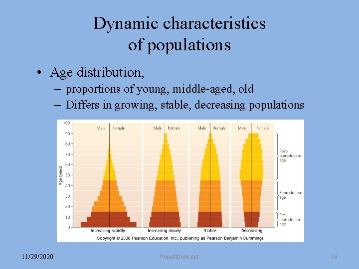 Dynamic characteristics of populations • Age distribution, – proportions of young, middle-aged, old – Dynamic characteristics of populations • Age distribution, – proportions of young, middle-aged, old –