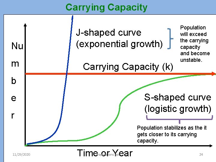 Carrying Capacity Nu m J-shaped curve (exponential growth) Carrying Capacity (k) Population will exceed Carrying Capacity Nu m J-shaped curve (exponential growth) Carrying Capacity (k) Population will exceed