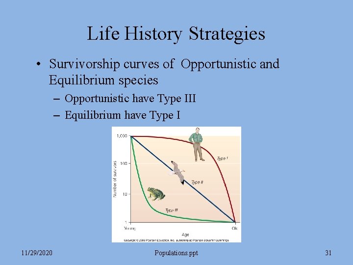 Life History Strategies • Survivorship curves of Opportunistic and Equilibrium species – Opportunistic have Life History Strategies • Survivorship curves of Opportunistic and Equilibrium species – Opportunistic have