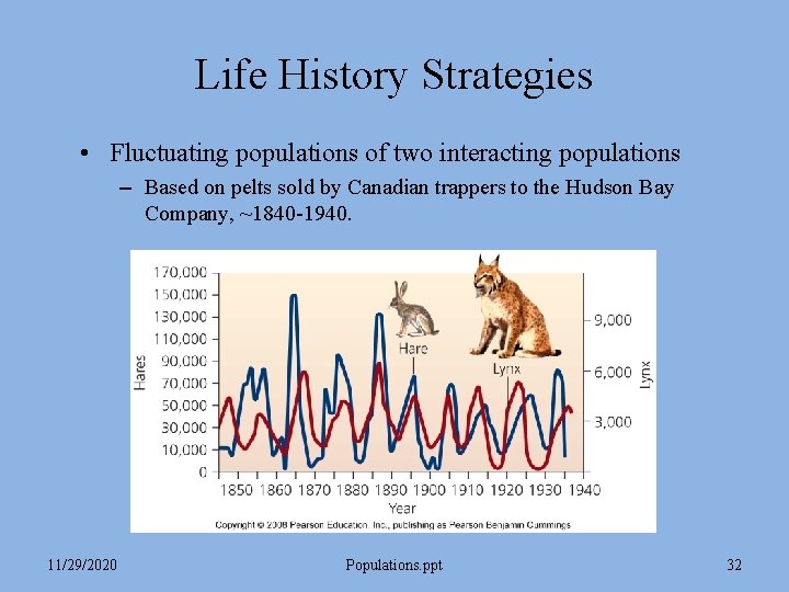 Life History Strategies • Fluctuating populations of two interacting populations – Based on pelts Life History Strategies • Fluctuating populations of two interacting populations – Based on pelts