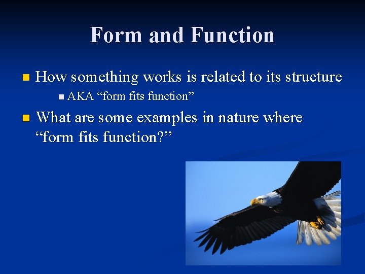 Form and Function n How something works is related to its structure n AKA