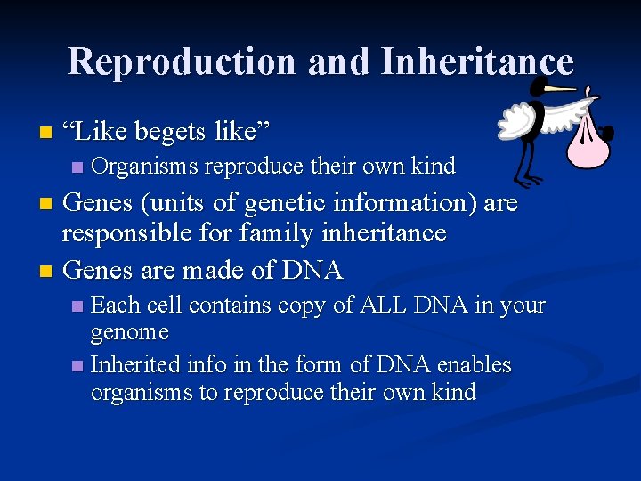 Reproduction and Inheritance n “Like begets like” n Organisms reproduce their own kind Genes