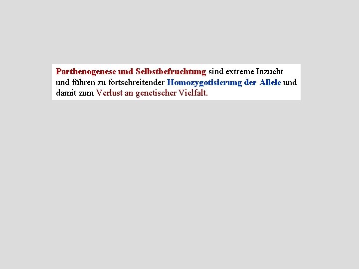 Parthenogenese und Selbstbefruchtung sind extreme Inzucht und führen zu fortschreitender Homozygotisierung der Allele und