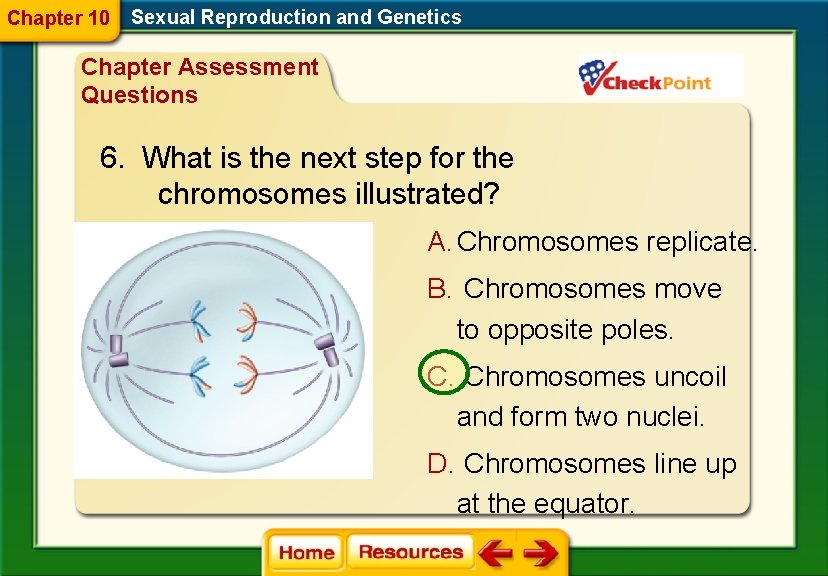Chapter 10 Sexual Reproduction and Genetics Chapter Assessment Questions 6. What is the next Chapter 10 Sexual Reproduction and Genetics Chapter Assessment Questions 6. What is the next