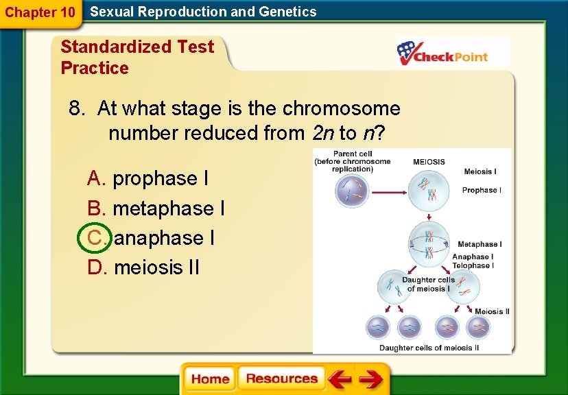 Chapter 10 Sexual Reproduction and Genetics Standardized Test Practice 8. At what stage is Chapter 10 Sexual Reproduction and Genetics Standardized Test Practice 8. At what stage is