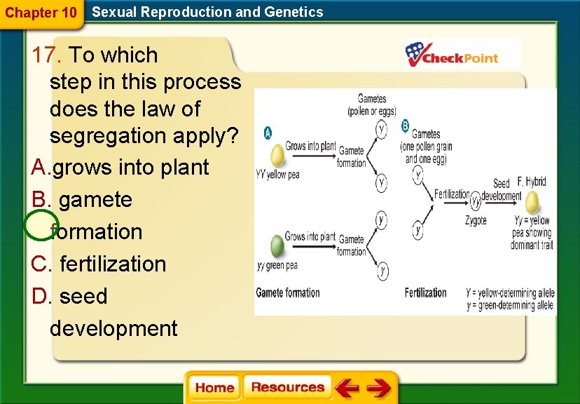 Chapter 10 Sexual Reproduction and Genetics 17. To which step in this process does Chapter 10 Sexual Reproduction and Genetics 17. To which step in this process does