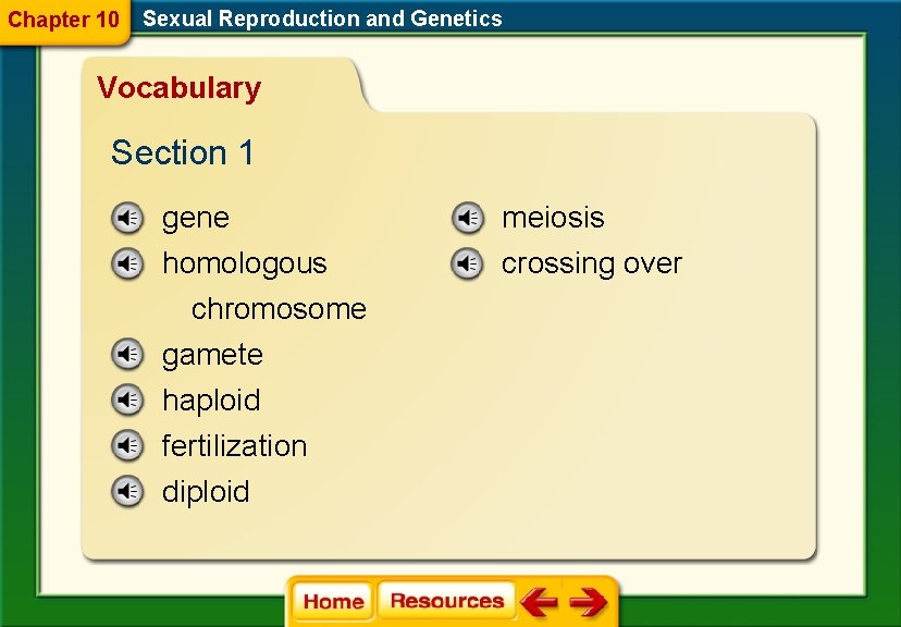 Chapter 10 Sexual Reproduction and Genetics Vocabulary Section 1 gene meiosis homologous chromosome gamete