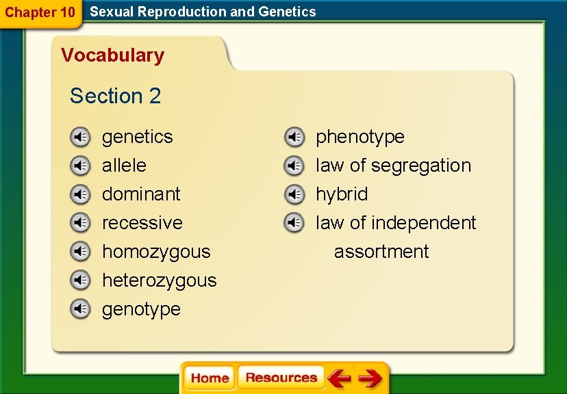Chapter 10 Sexual Reproduction and Genetics Vocabulary Section 2 genetics phenotype allele dominant recessive