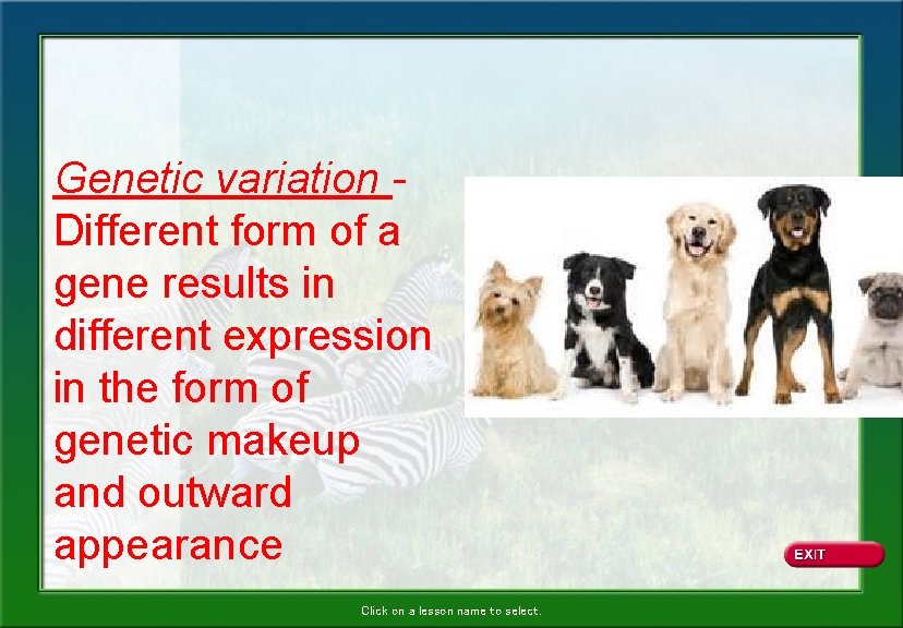 Genetic variation Different form of a gene results in different expression in the form