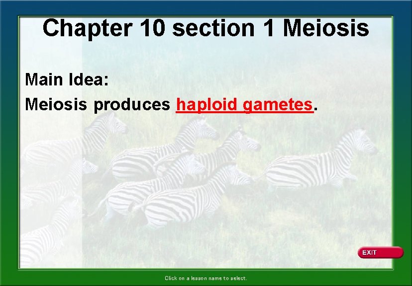 Chapter 10 section 1 Meiosis Main Idea: Meiosis produces haploid gametes. Click on a