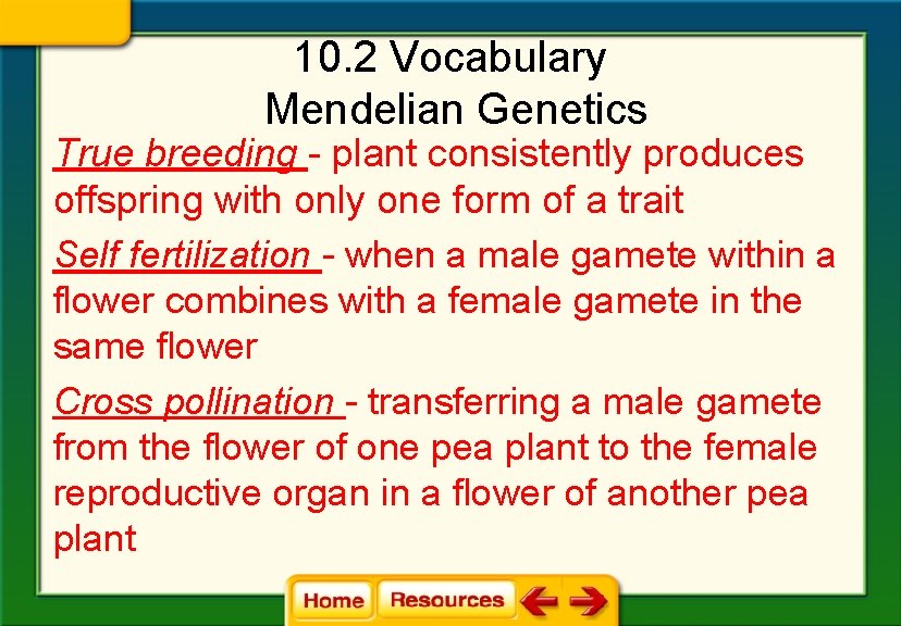 10. 2 Vocabulary Mendelian Genetics True breeding - plant consistently produces offspring with only