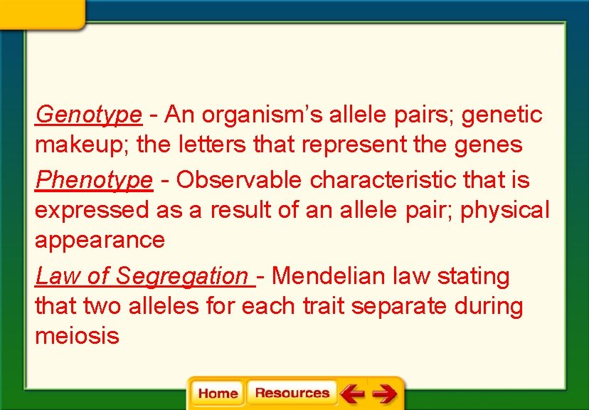 Genotype - An organism’s allele pairs; genetic makeup; the letters that represent the genes