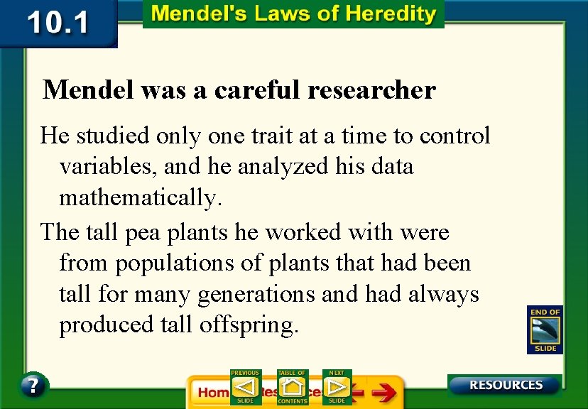 Mendel was a careful researcher He studied only one trait at a time to