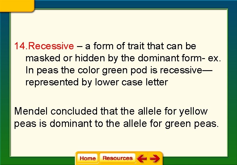 14. Recessive – a form of trait that can be masked or hidden by