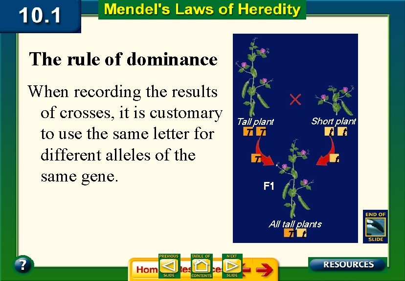 The rule of dominance When recording the results of crosses, it is customary to