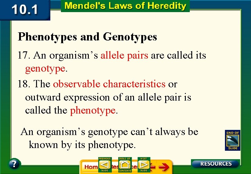 Phenotypes and Genotypes 17. An organism’s allele pairs are called its genotype. 18. The