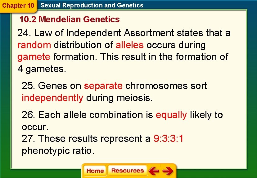 Chapter 10 Sexual Reproduction and Genetics 10. 2 Mendelian Genetics 24. Law of Independent