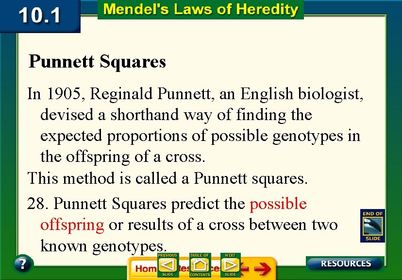 Punnett Squares In 1905, Reginald Punnett, an English biologist, devised a shorthand way of