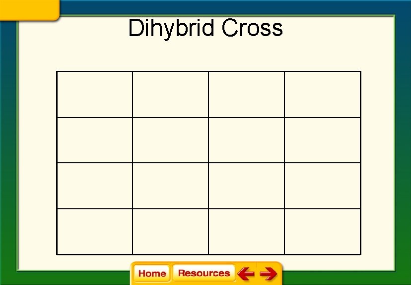 Dihybrid Cross Dihybrid Cross