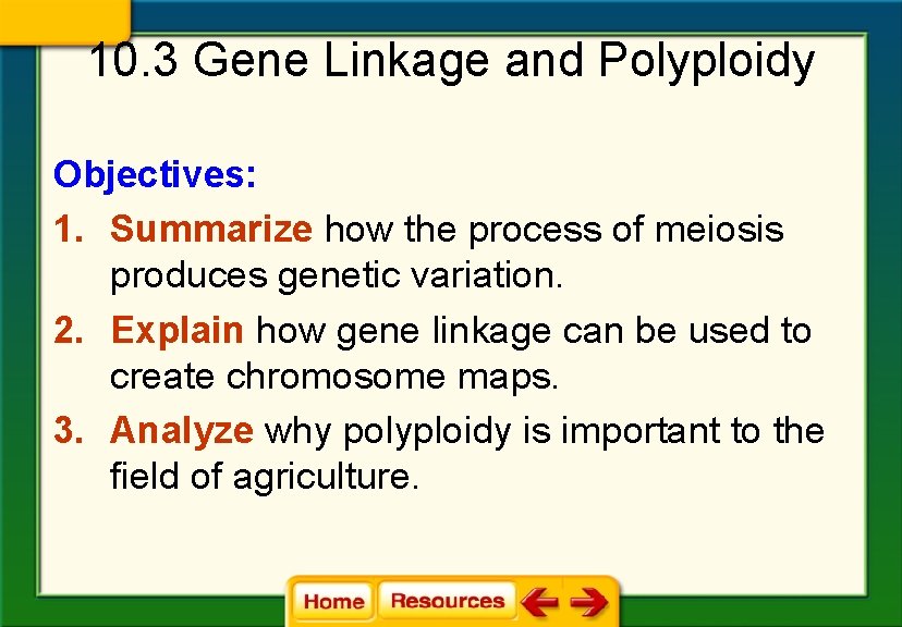 10. 3 Gene Linkage and Polyploidy Objectives: 1. Summarize how the process of meiosis