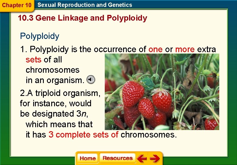 Chapter 10 Sexual Reproduction and Genetics 10. 3 Gene Linkage and Polyploidy 1. Polyploidy