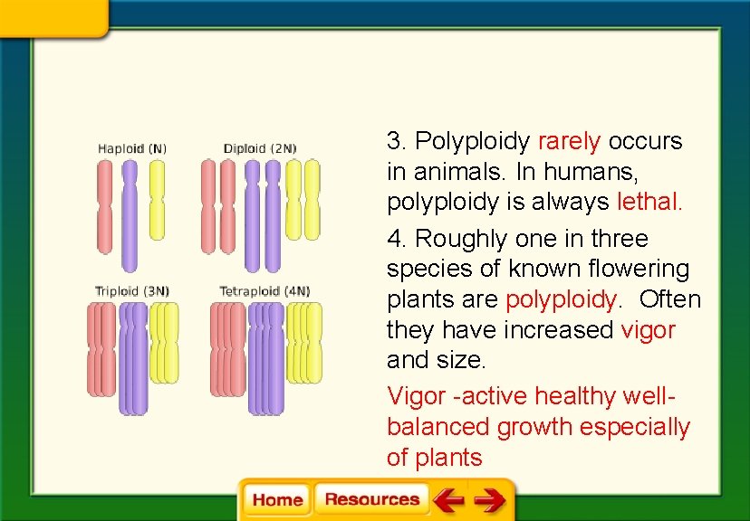 3. Polyploidy rarely occurs in animals. In humans, polyploidy is always lethal. 4. Roughly 3. Polyploidy rarely occurs in animals. In humans, polyploidy is always lethal. 4. Roughly