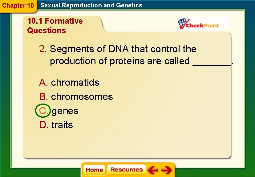 Chapter 10 Sexual Reproduction and Genetics 10. 1 Formative Questions 2. Segments of DNA Chapter 10 Sexual Reproduction and Genetics 10. 1 Formative Questions 2. Segments of DNA