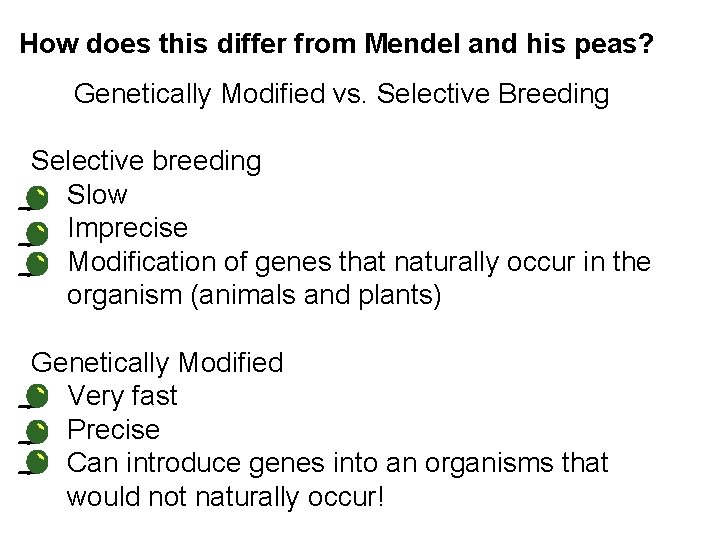 How does this differ from Mendel and his peas? Genetically Modified vs. Selective Breeding