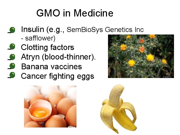 GMO in Medicine • Insulin (e. g. , Sem. Bio. Sys Genetics Inc -