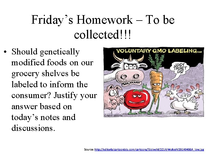 Friday’s Homework – To be collected!!! • Should genetically modified foods on our grocery