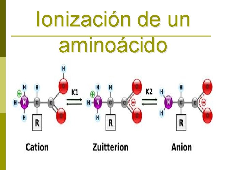 Ionización de un aminoácido 