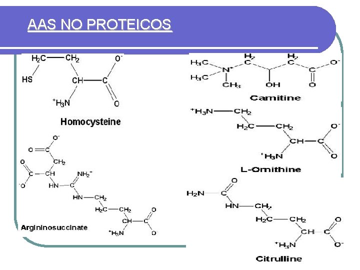 AAS NO PROTEICOS 20 