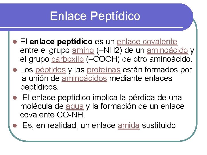 Enlace Peptídico l l El enlace peptídico es un enlace covalente entre el grupo