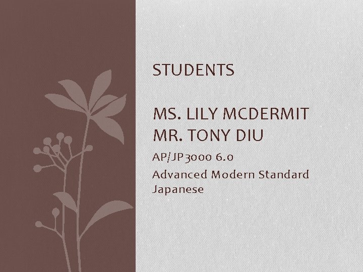 STUDENTS MS. LILY MCDERMIT MR. TONY DIU AP/JP 3000 6. 0 Advanced Modern Standard