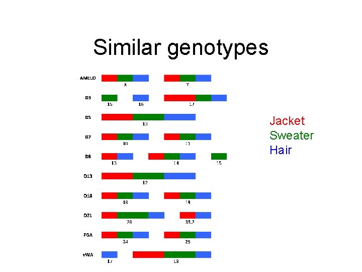 Similar genotypes Jacket Sweater Hair 