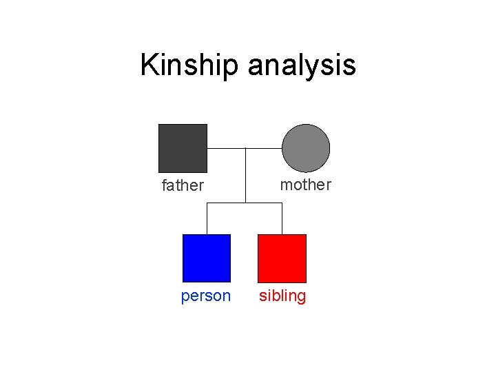 Kinship analysis father person mother sibling 