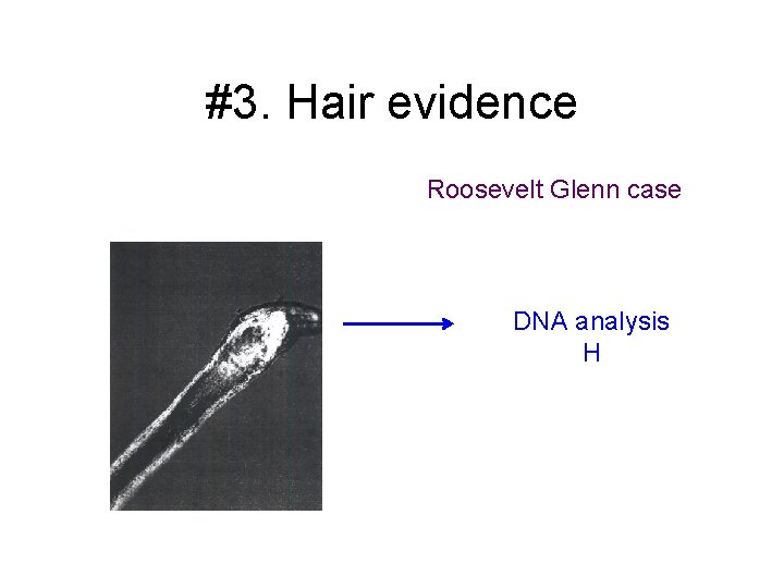 #3. Hair evidence Roosevelt Glenn case DNA analysis H 