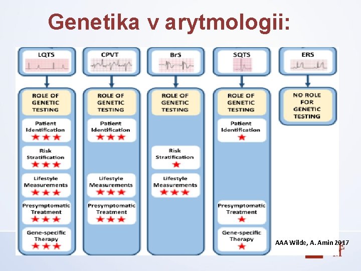 Genetika v arytmologii: AAA Wilde, A. Amin 2017 