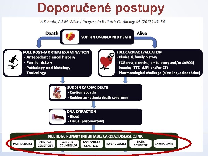 Doporučené postupy vyšetření 