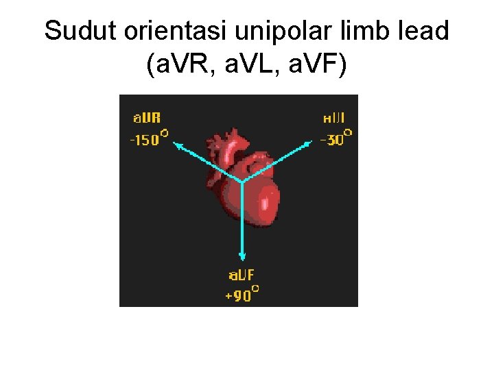 Sudut orientasi unipolar limb lead (a. VR, a. VL, a. VF) 