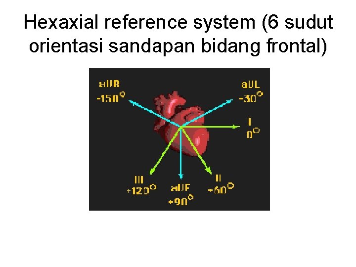 Hexaxial reference system (6 sudut orientasi sandapan bidang frontal) 