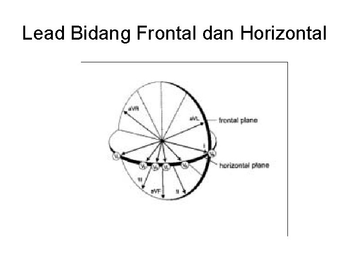 Lead Bidang Frontal dan Horizontal 