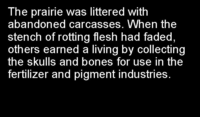 The prairie was littered with abandoned carcasses. When the stench of rotting flesh had