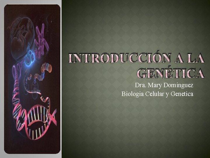 INTRODUCCIÓN A LA GENÉTICA Dra. Mary Dominguez Biologia Celular y Genetica 