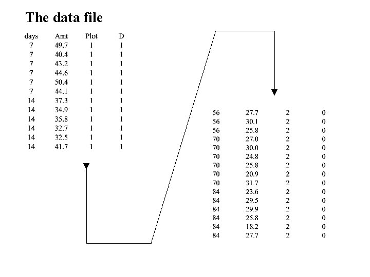 The data file 