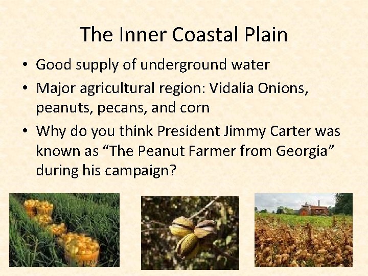 The Inner Coastal Plain • Good supply of underground water • Major agricultural region: