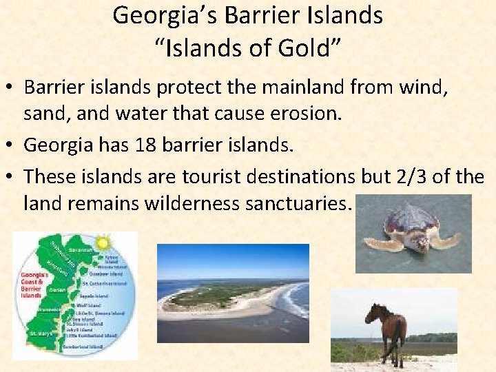Georgia’s Barrier Islands “Islands of Gold” • Barrier islands protect the mainland from wind,